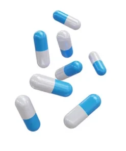 Bacopa Monnieri Capsules – 100mg